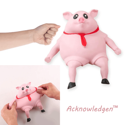 🔥Piggy Squeeze Toy® | AcknowledgenTM